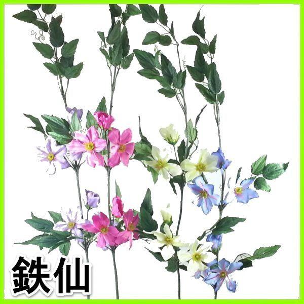 iԁEtjSEN}`XEĂEebZb7205