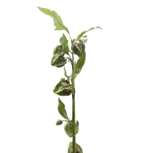 iԁEāEHjق-@قEzIYLES@8001