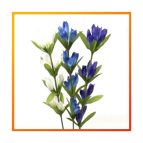 iāEH̑ԁjhE / ǂ _  | 990008 / FS-8236