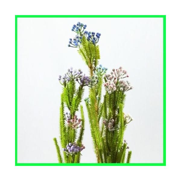 iԁEāEO[jT{ex[ / ڂĂ / fBXvCEf | 990075