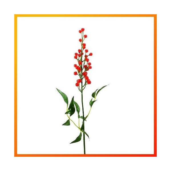 iԁEHE~Ejie / ȂĂ V / fBXvCEf | 990229 / FS-5144