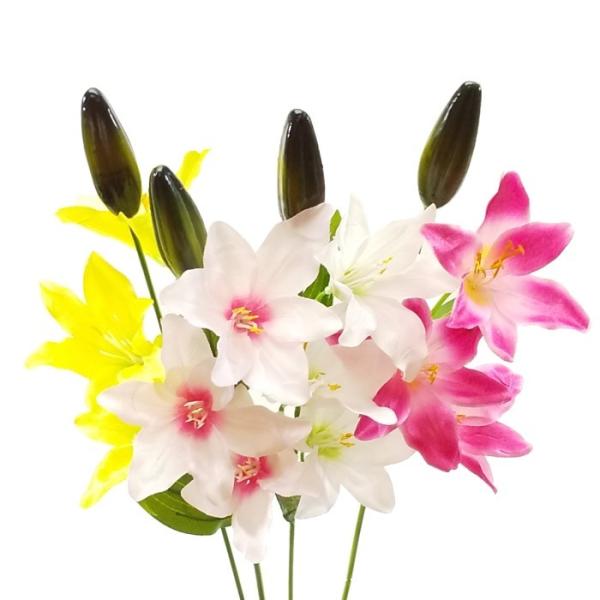 iԁEāj3փ /  S Ԃ JTuJ / fBXvCEAWEf | 990231 / FF-2947