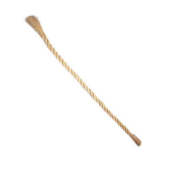 iԁE~Ejߓ A / ߂Ȃ ܎O W  | 990257