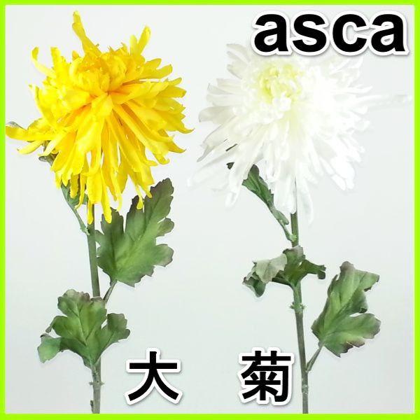 iԁEtEHEԁEASCAje / eEELN / dE~Eފ݁EԁbA-31142