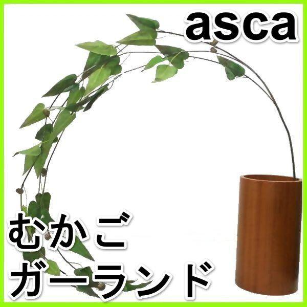 iԁEHEASCAjނK[hE]q/AXJ/ascabA-47169