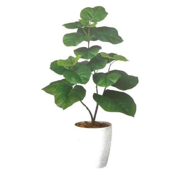 i lHϗtAjEx[^ o[Nt / F80cm × F50cm  / ԁECeAEfBXvCEO[ | BV98923