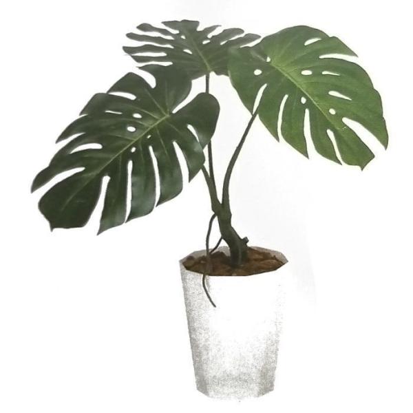 i lHϗtAjXeoC o[Nt / F70cm × F60cm  / ԁECeAEfBXvCEO[ | BV99130