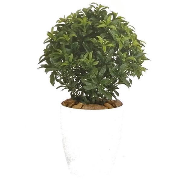 i lHϗtAjxC[t o[Nt / F70cm × F45cm  / ԁECeAEfBXvCEO[ | BV99141