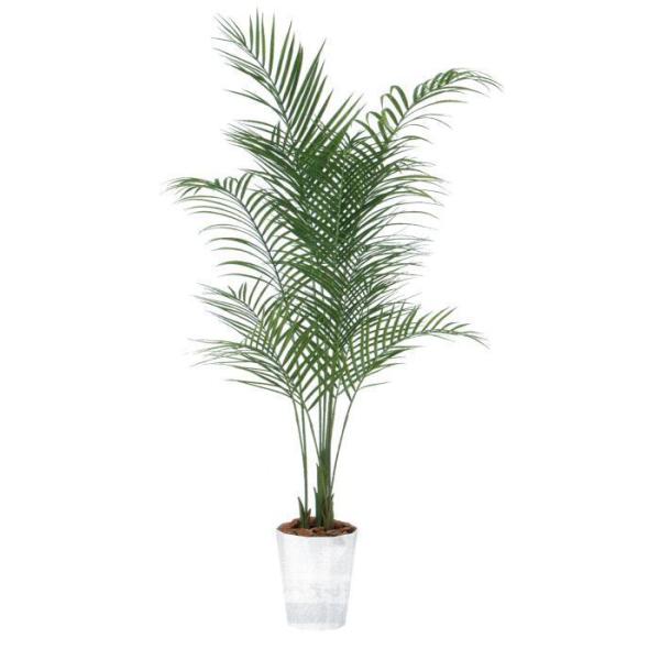 i lHϗtAjAJV o[Nt / F180cm × F80cm  / ԁECeAEfBXvCEO[ | BV99156