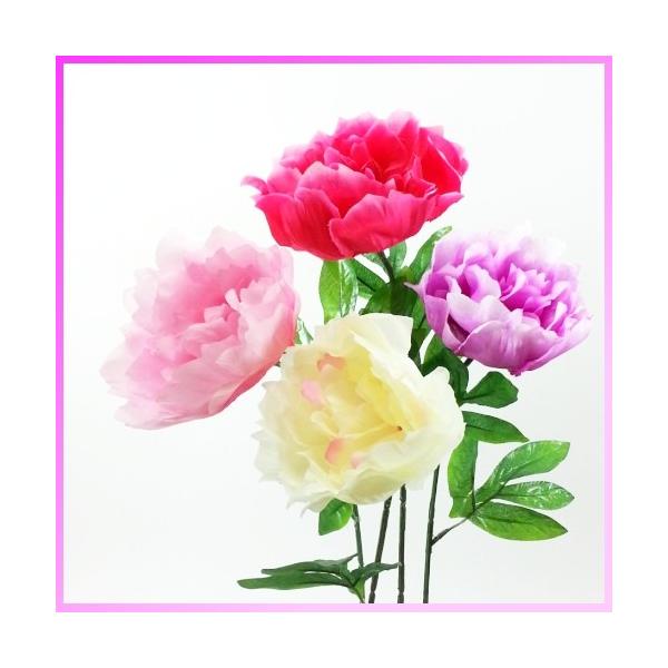 iԁEtjVO{^ / ڂEO / fBXvCEAWEf | FF-2833 / FF-3010