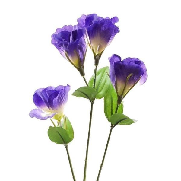 iԁEājgRLLE×S / gRj[ gRMLE | FF-2953 / FF2953