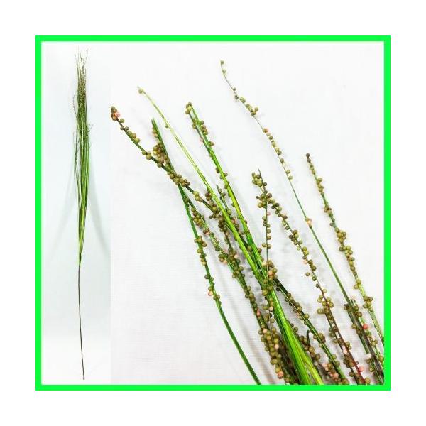 iԁEājr[YOX / fBXvCEAWEA[gt[ | FG-3130 / FG3130