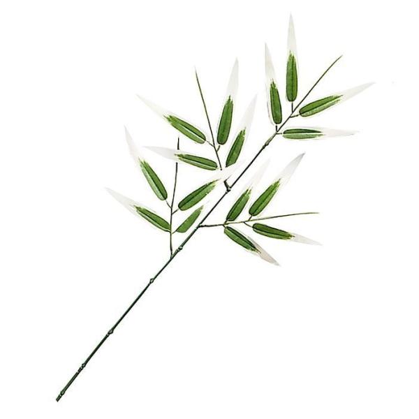 iԁEāEO[jTT /    ^P | [ Ղ | FG-4658