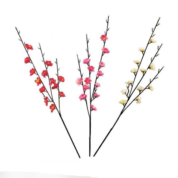 全長：56cm　花径：3cm
