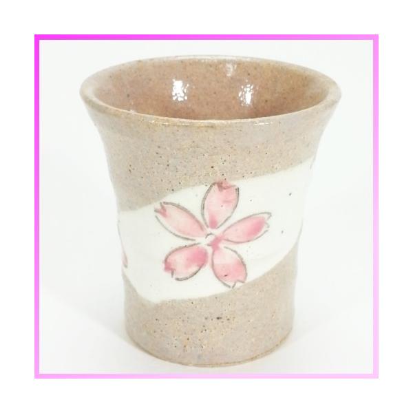 iG݁EHE֘AjԂ̕~jJbv /  TN   | SKR0018-5674