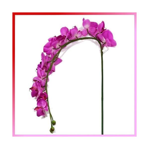 iԁE~jR`E / 傤 Ӓ | T0127