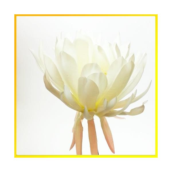 造花 夏 ゲッカビジン げっかびじん 月下美人 Vd 6740 T0213 F3066 T0213 アクセソワール 通販 Yahoo ショッピング