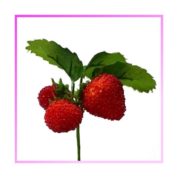 (ԁEtE) Xgx[sbN /  C`S  /  bh | VE-6665 / VE6665