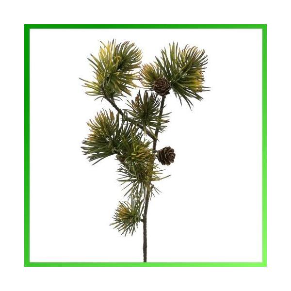 iԁE~EEO[j}tpCXv[ /   ܂ }c | YK-10576