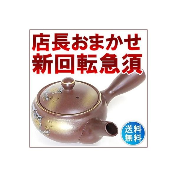 店長おまかせ  急須 お茶 セット オリジナルブレンド茶付き 着いてすぐにおいしいお茶 何が来るかお楽しみ 店長おまかせ急須
