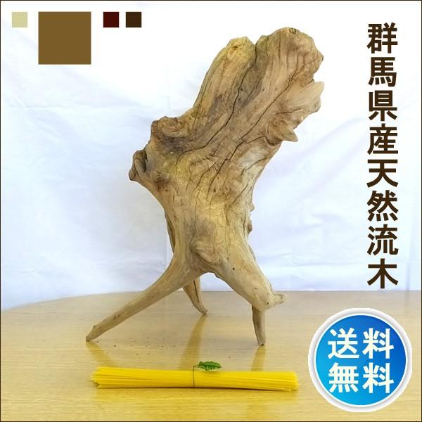 流木 販売 群馬 天然木 インテリア 中型 ryuboku-001
