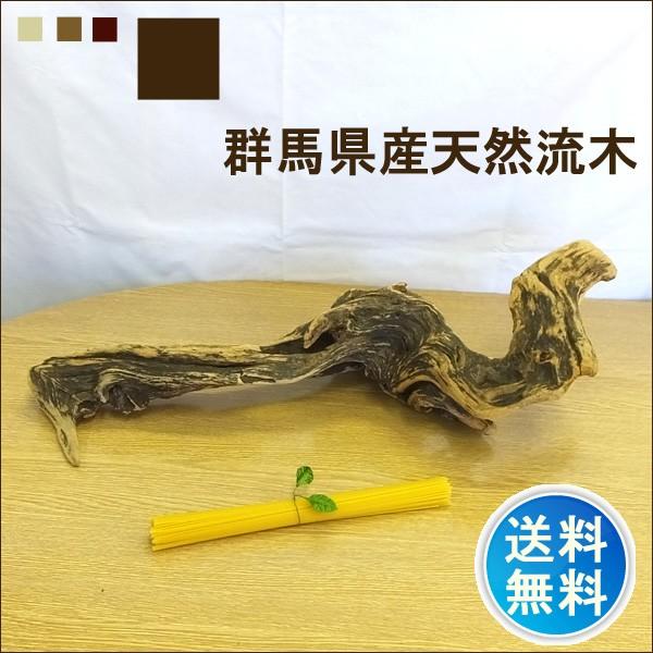  ̔ Qn VR CeA ^ ryuboku-003