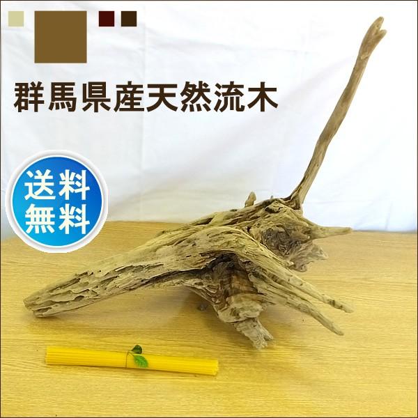 流木 販売 群馬 天然木 インテリア 中型 ryuboku-005 : 有限会社