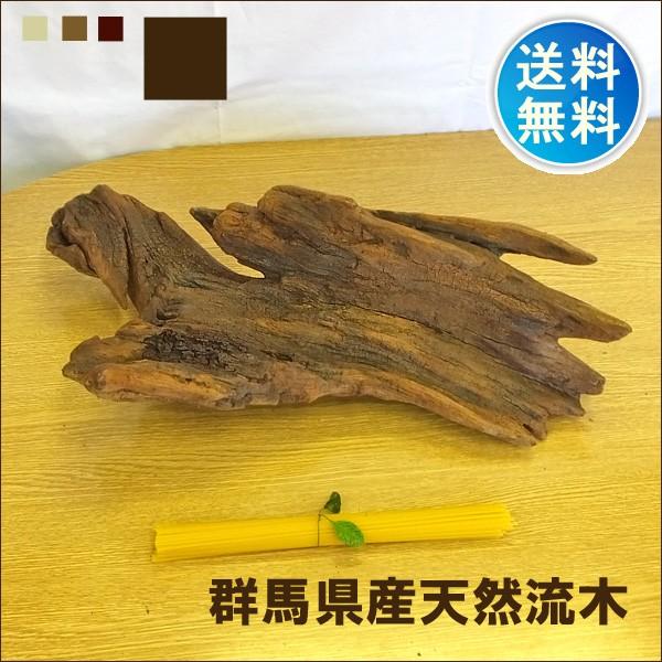  ̔ Qn VR CeA ^ NAjXH ryuboku-011