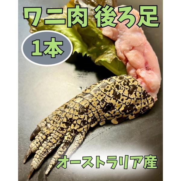 ワニ肉 鰐肉 食用 骨付き わに足 420?470g 1袋 手 爪付き