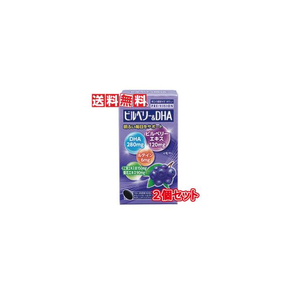湧永製薬 プレビジョン ビルベリー&DHA 120粒 2個セット