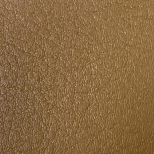 VB pCg 6V V[g/Jo[/n/\ yF/I[J[ ւ V[g Ή  Y Cp