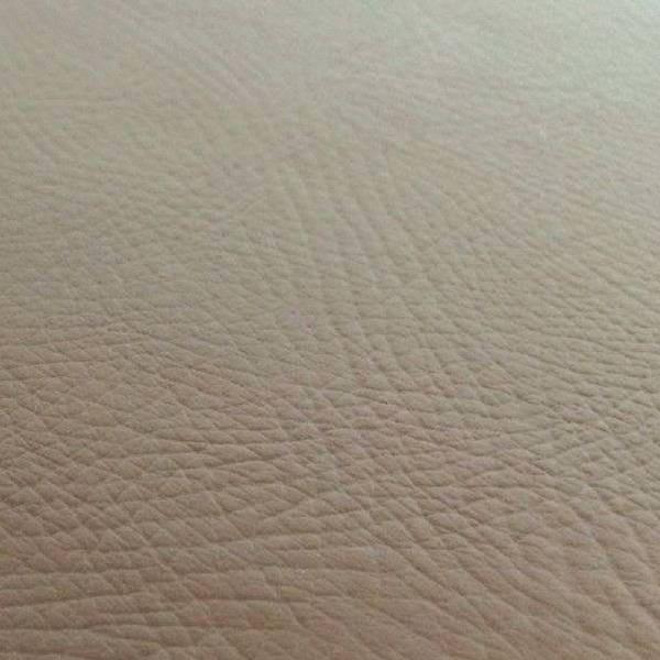 { JX^ V[gJo[ GPZ900R jW F   V[g Ή