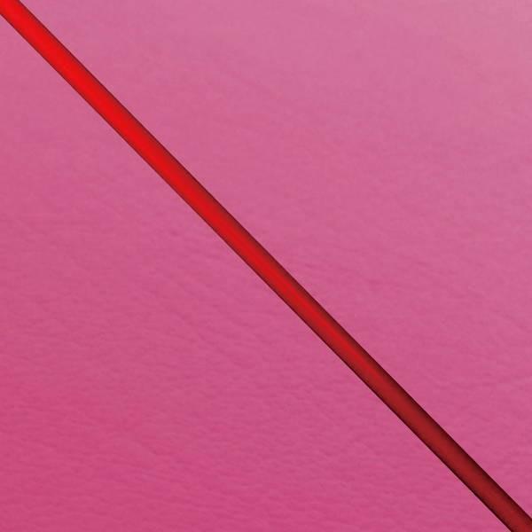 { JX^ V[gJo[ ^Ngx[VbN(AF19) sN/ԃpCsO  V[g Ή