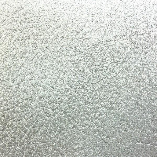 { JX^ V[gJo[ CB1100(SC65E)(2010) Vo[  V[g Ή