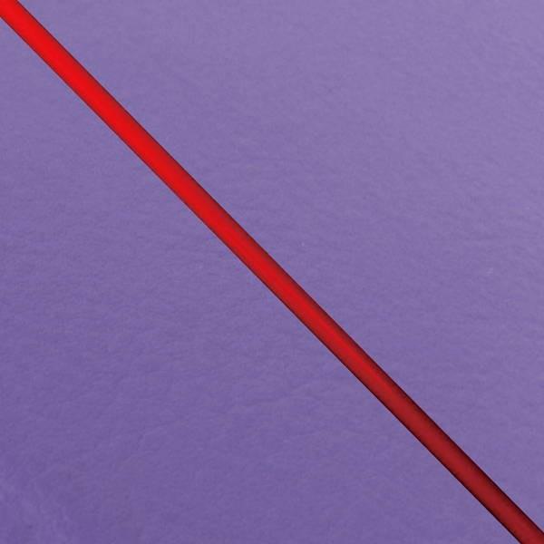 { JX^ V[gJo[ ANVXg[g(SE53J) p[v/ԃpCsO   V[g Ή