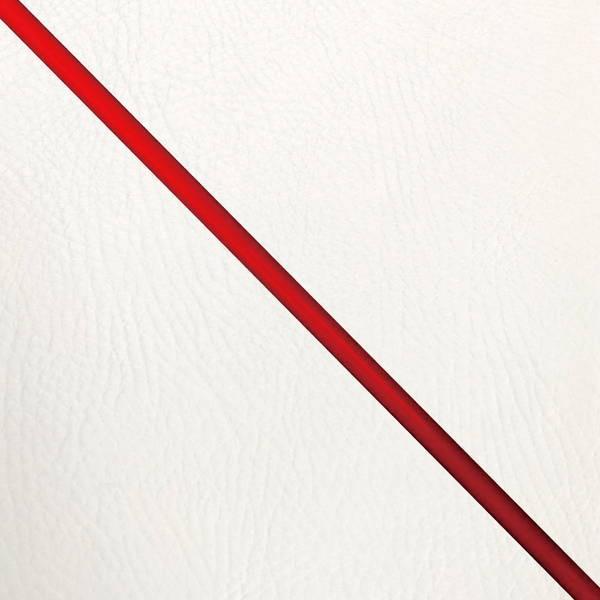 VOiXX(SEA5J/SEA8J)(BF9)4^(XC125SR)ynF/ԃpCsOz(킹)