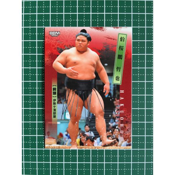 ☆BBM 2026 大相撲 #08 伯桜鵬哲也／伯乃富士哲也［前頭／伊勢ヶ濱部屋