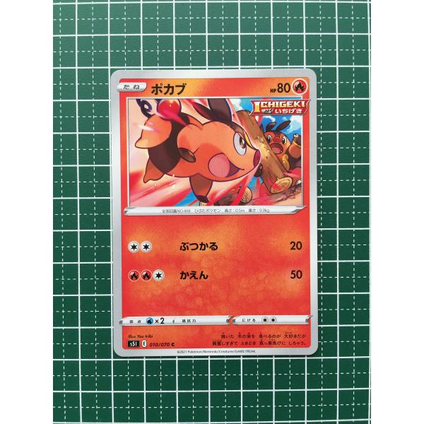 alba-tesoro_pokemon-s5i-006