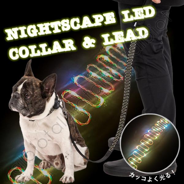 MENSA グッズ　限定品 albiot-shop_mb2302-1002