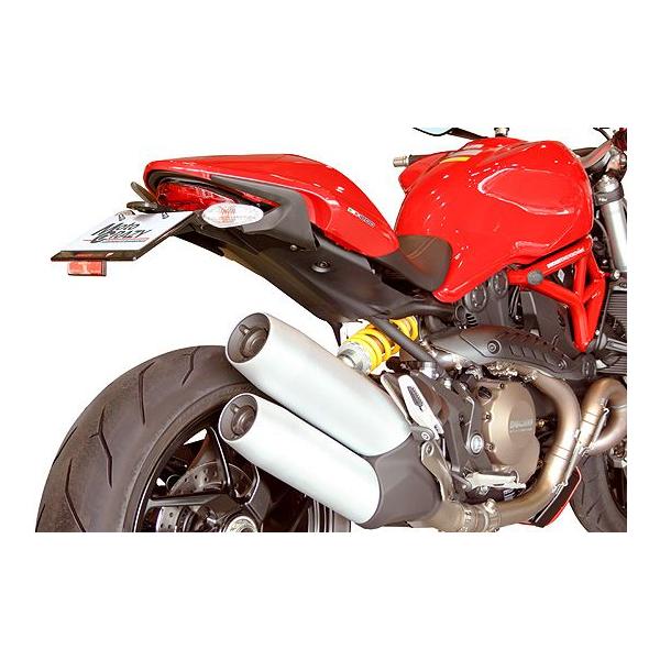 DUCATI（ドゥカティ） Monster1200 ステンレス製 フェンダーレスキット