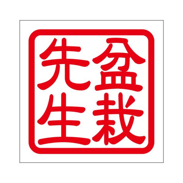 p XebJ[ ~͐搶 {TCZZC ^Cv bh 2 KIS-71