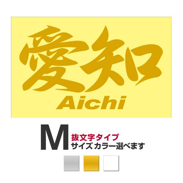 ご当地 地名ステッカー 愛知 Aichi Mサイズ 抜き文字タイプ カラー選べ