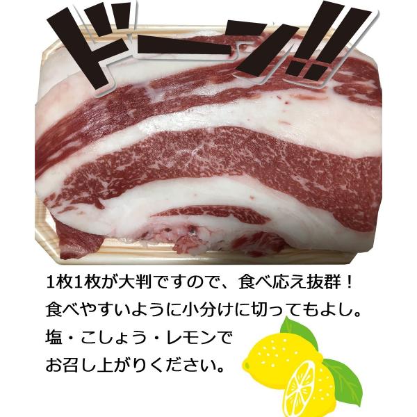 牛 コウネ 隠れた広島の絶品グルメ 焼肉 コーネ 500g ロイドごはん 広島 国産 コラーゲン 冷凍 :fksn-kou:アルディー ...