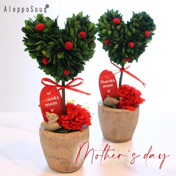 aleppo-souq_pf-hearttopiary