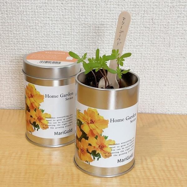 alfa-logic_b202110-230-1_3