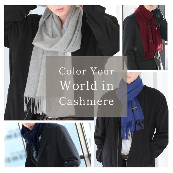 alg-select_al03030009-cp_1_d_20251016103156