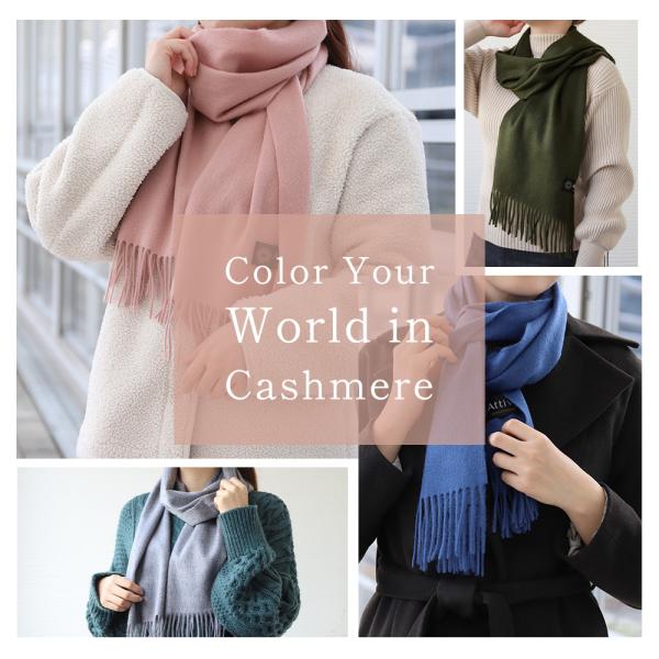 alg-select_al03030009_1_d_20251016092223