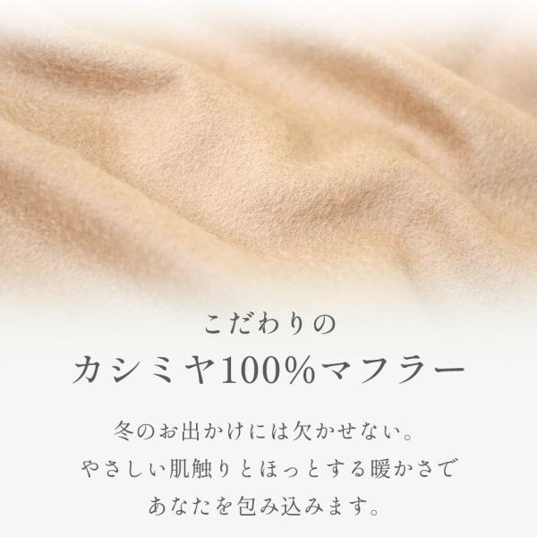 alg-select_al03030009_2_d_20251016092225