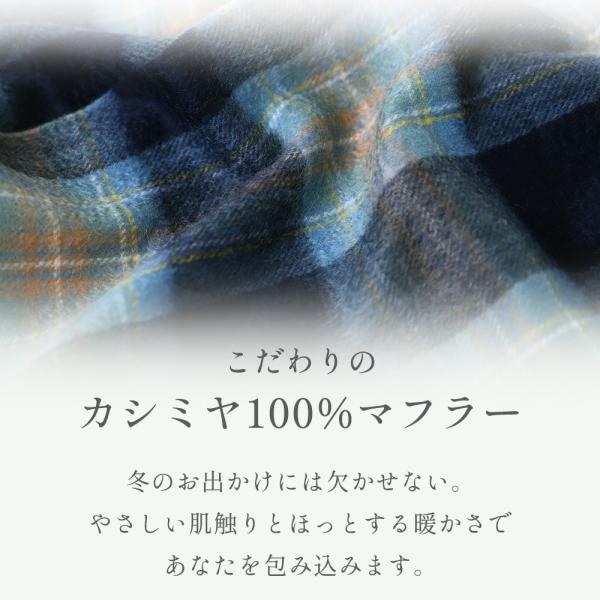 alg-select_al03030009mch_2_d_20251016110946