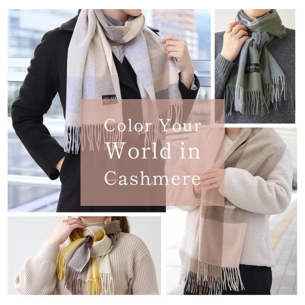 alg-select_al0303000_1_d_20251016104424